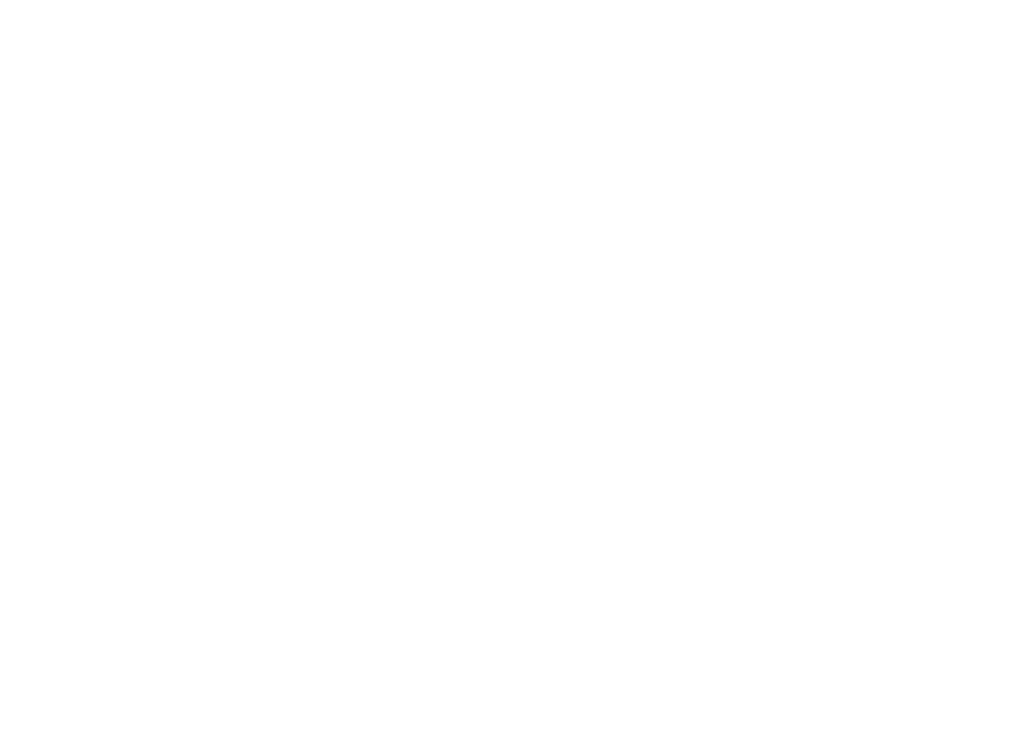 oasis ic